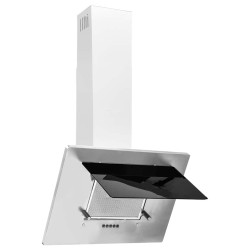Hotte murale 60 cm Acier inoxydable et verre trempé Argenté 