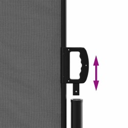Auvent latéral rétractable anthracite 220x600 cm 