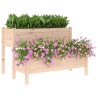 Jardinière 110x84x75 cm Bois massif de pin 