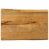Dessus de table 50x40x2,5 cm bord vivant bois massif manguier 