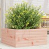 Jardinière 50x50x23 cm bois massif douglas 