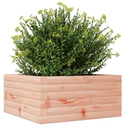 Jardinière 50x50x23 cm bois massif douglas 