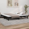 Lit coulissant sans matelas noir 2x(100x200) cm 
