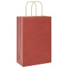 Sacs en papier 250 pcs avec poignées rouge 21x11x31 cm 