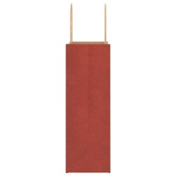 Sacs en papier 250 pcs avec poignées rouge 21x11x31 cm 