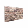 Panneaux muraux 3D 10 pcs marron 100x50 cm EPS 