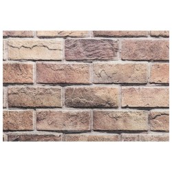Panneaux muraux 3D 10 pcs marron 100x50 cm EPS 