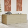Boîte de rangement de jardin mélange beige 984L résine tressée 