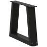 Pieds de table basse en V 2 pièces Noir 30 x (30-31,3) cm Acier 