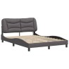 Cadre de lit avec LED sans matelas gris 120x200 cm 