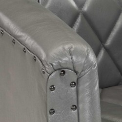 Chaise cabriolet Gris Cuir véritable de chèvre 