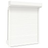 Volet roulant aluminium 100x120 cm blanc 