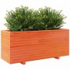 Jardinière cire marron 110x40x49,5 cm bois de pin massif 