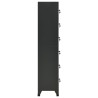 Armoire à casiers Anthracite 38x40x180 cm Acier 