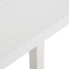 Table de jardin 220x90x72 cm PP Blanc 