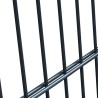 Portillon 2D (simple) Gris anthracite 106x170 cm 