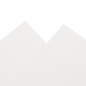Bâche blanc 5x8 m 650 g/m² 