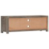 Meuble TV Gris 120 x 30 x 40 cm Bois massif de manguier 