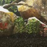 Sable pour aquarium 10 kg noir 0,2-2 mm 