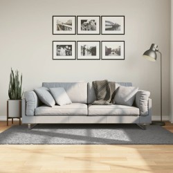 Tapis shaggy PAMPLONA poils longs moderne gris 100x200 cm 