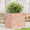 Jardinière 70x70x68,5 cm bois massif de douglas 