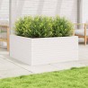 Jardinière blanc 100x100x46 cm bois de pin massif 