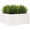 Jardinière blanc 100x100x46 cm bois de pin massif 