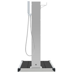 Douche d'extérieur avec receveur de douche WPC Acier inoxydable 