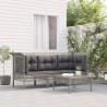 Salon de jardin 4 pcs avec coussins Gris Résine tressée 