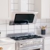 Hotte murale 90 cm Acier inoxydable et verre trempé Argenté 