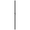 Portail de jardin verrouillable noir 100x200 cm aluminium 