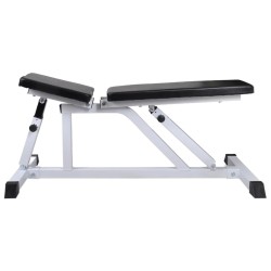Banc d'entraînement avec jeu d'haltères 30,5 kg 