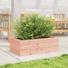 Jardinière 70x40x23 cm bois massif douglas 