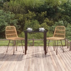 Ensemble à manger de jardin 3 pcs Résine tressée 