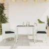 Ensemble à manger de jardin et coussins 3 pcs blanc rotin verre 