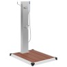 Douche d'extérieur avec receveur de douche WPC Acier inoxydable 