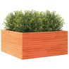Jardinière cire marron 100x100x46 cm bois de pin massif 