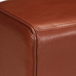 Banc saut de cheval 160 cm Marron Cuir véritable et bois acacia 
