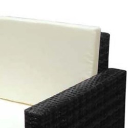 Salon de jardin 2 pcs avec coussins Résine tressée Noir 