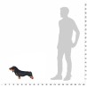 Jouet en peluche Chien de race Dachshund Noir XXL 