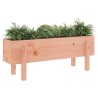 Lit surélevé de jardin 101x30x38 cm bois douglas massif 
