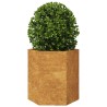 Jardinière hexagone 46x40x45 cm acier résistant aux intempéries 