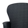 Ensemble de bistro 3 pcs Plastique Anthracite Aspect de rotin 