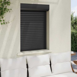 Volet roulant aluminium 70x100 cm anthracite 