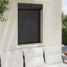 Volet roulant aluminium 70x100 cm anthracite 
