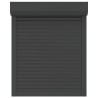 Volet roulant aluminium 70x100 cm anthracite 
