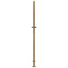 Portail de jardin 105x180 cm acier corten 