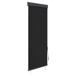 Store roulant d'extérieur 60 x 250 cm Anthracite 