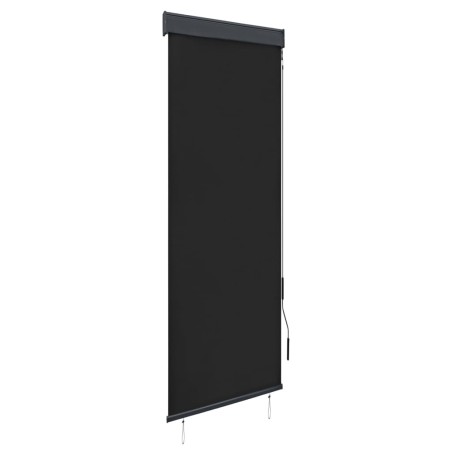 Store roulant d'extérieur 60 x 250 cm Anthracite 
