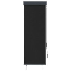 Store roulant d'extérieur 60 x 250 cm Anthracite 
